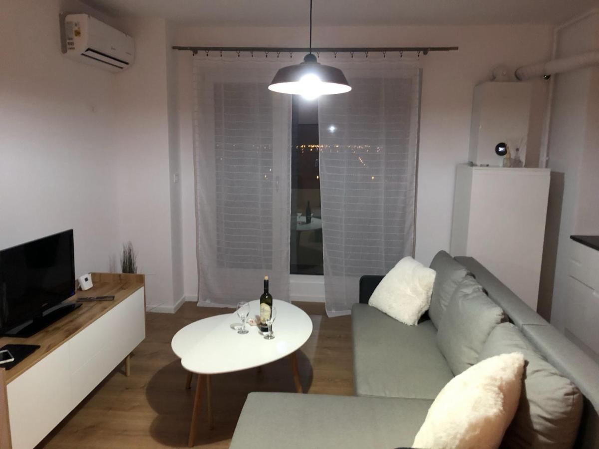 Chronos Apartment - Modern And Stylish Temešvár Exteriér fotografie